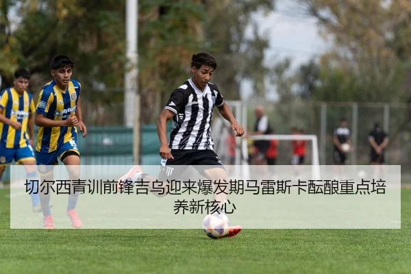 img_1784038094282_636_1_348.jpg